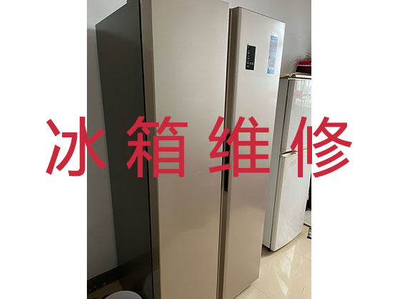 重庆专业电冰箱安装